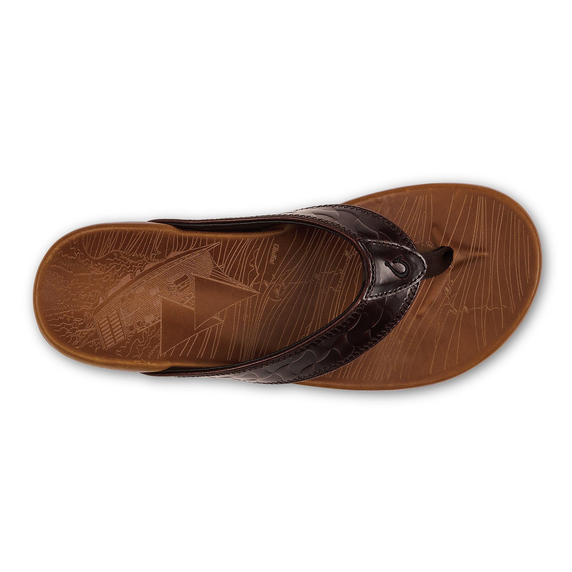 Hikianalia  -  Dark Java / Tan - Image 5