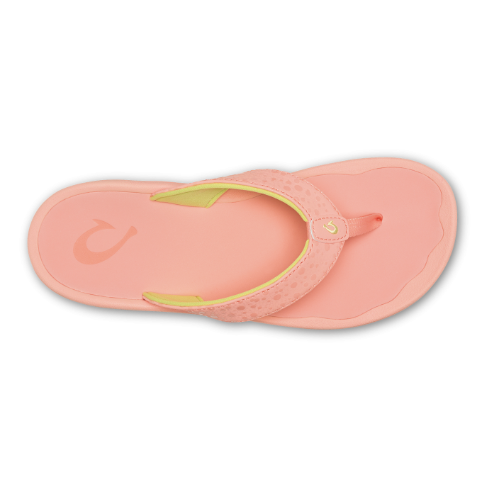 ‘Ohana - Guava Jelly - Image 5